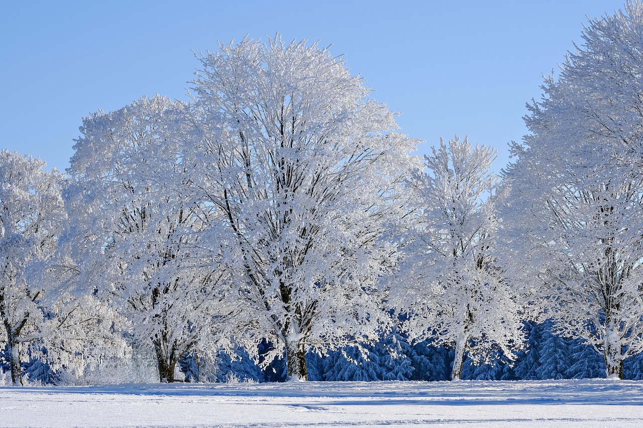homelessness winter