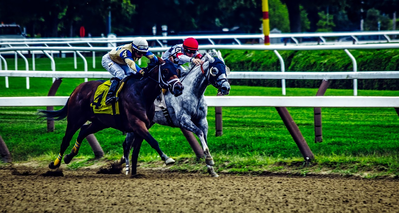 Thoroughbred racing