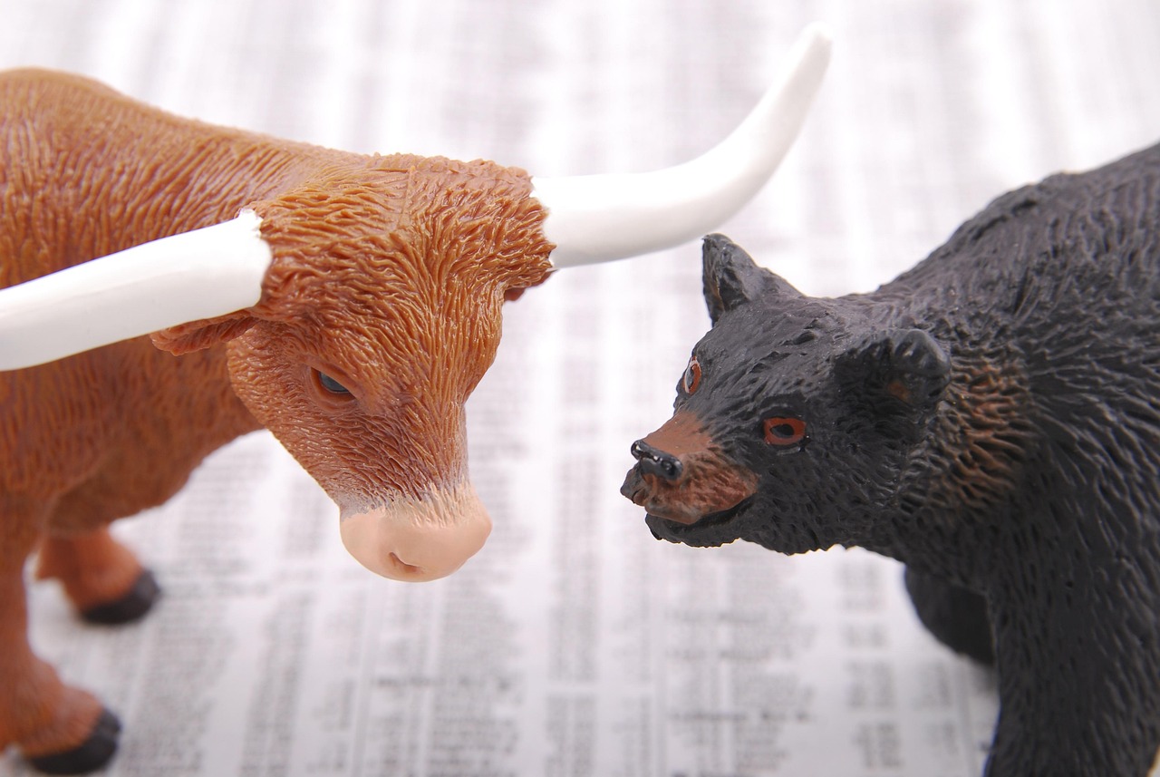 Bull market
