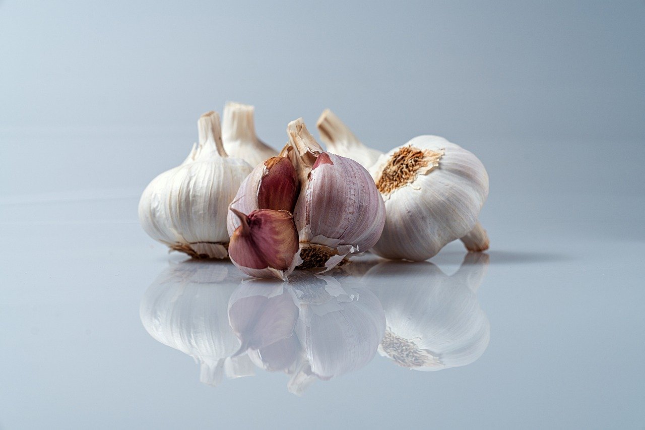 Culinary food
