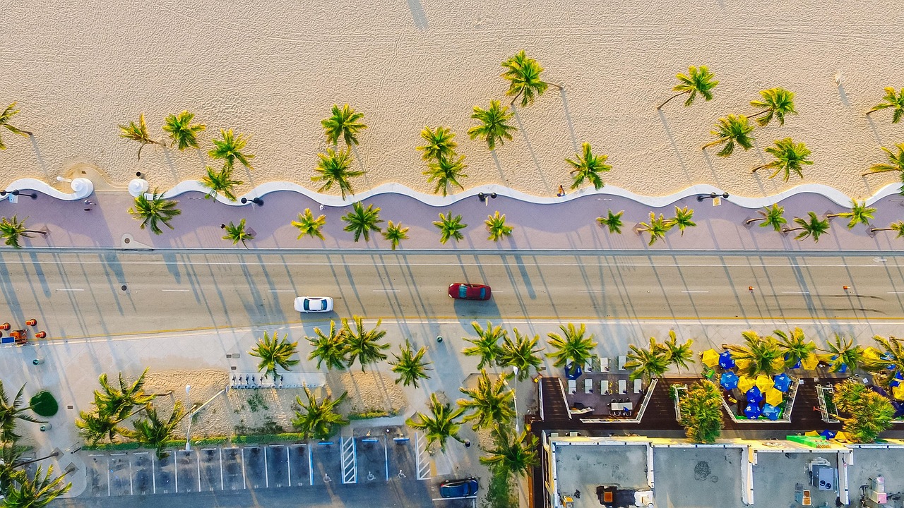 Palm view