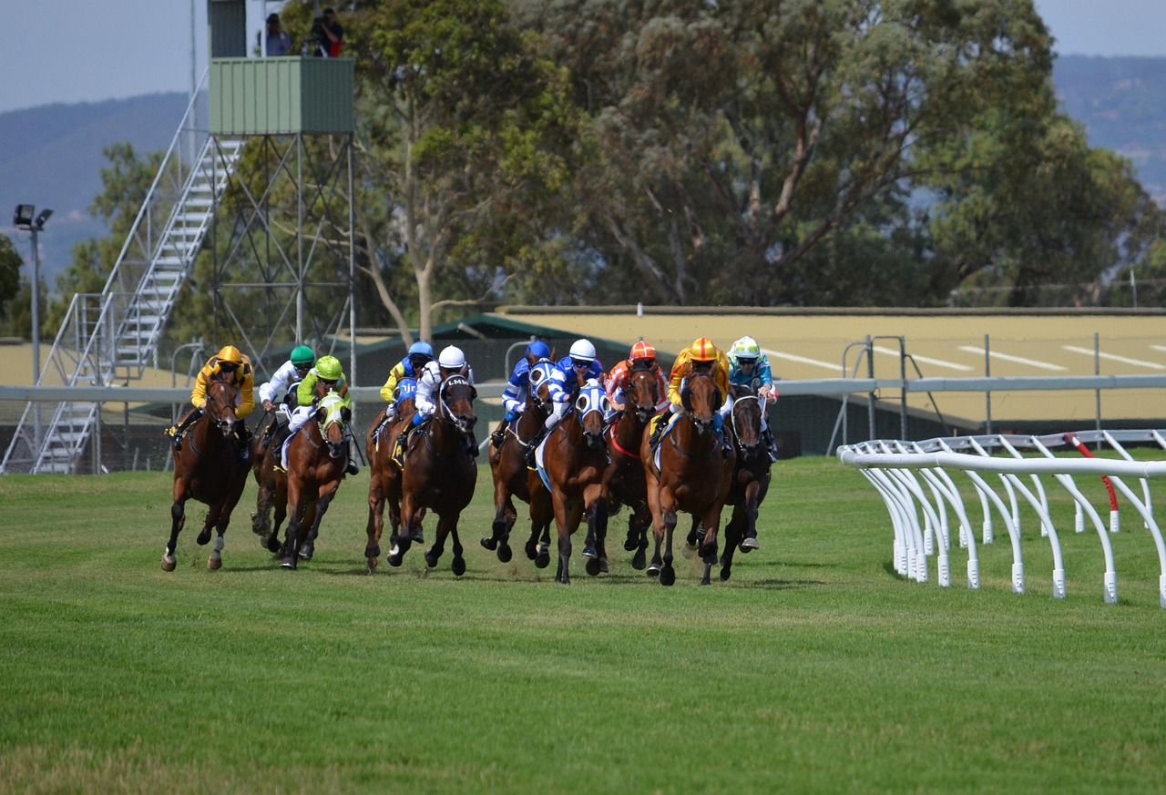 Thoroughbred racing