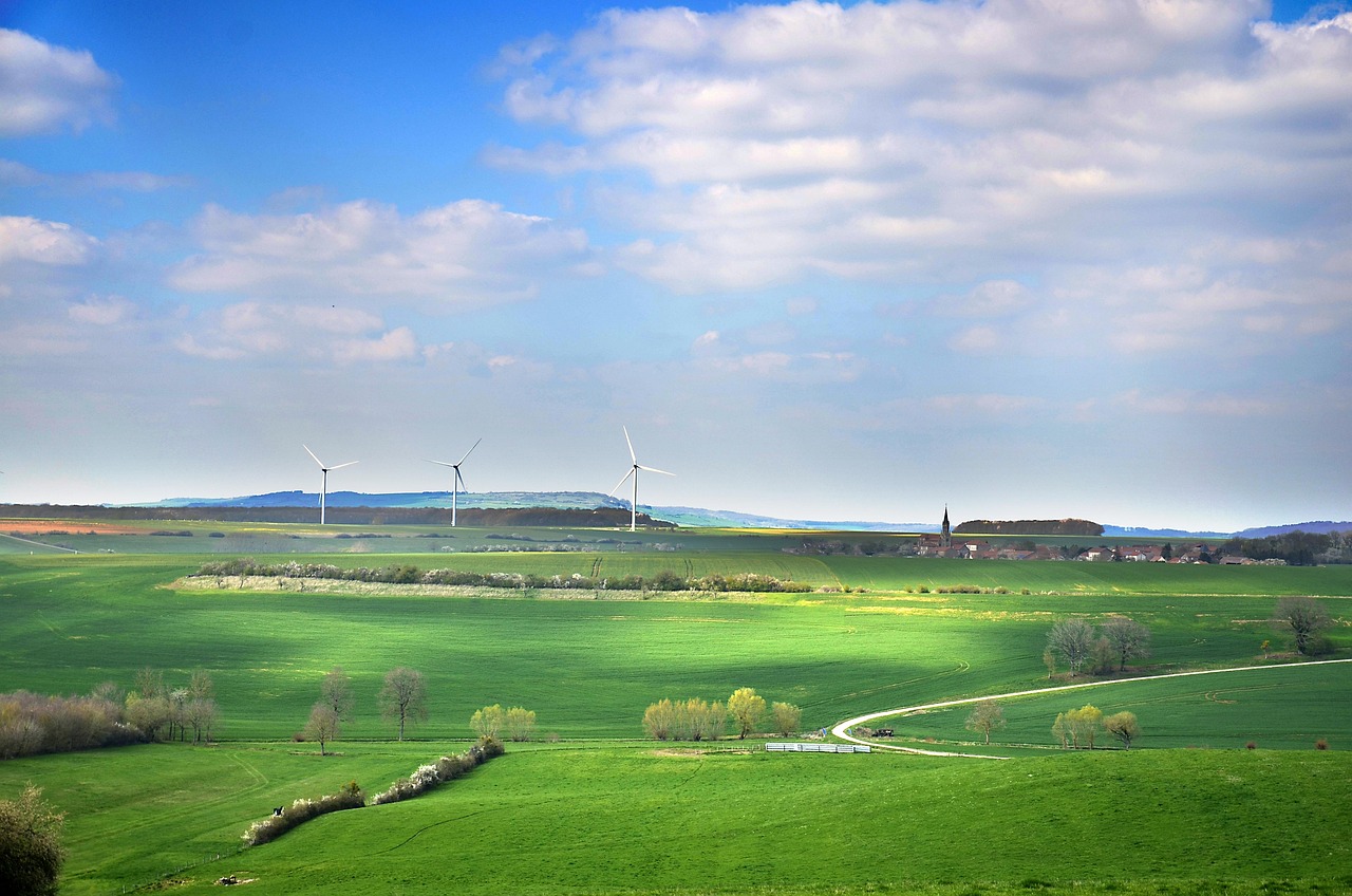 sustainable development