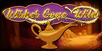 Wishes Gone Wild game info